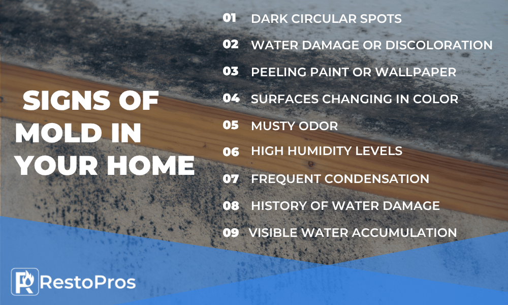 An infographic by RestoPros describing signs of mold in your home