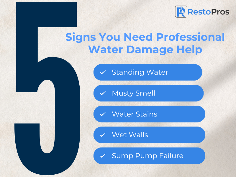signs you need professional water damage help