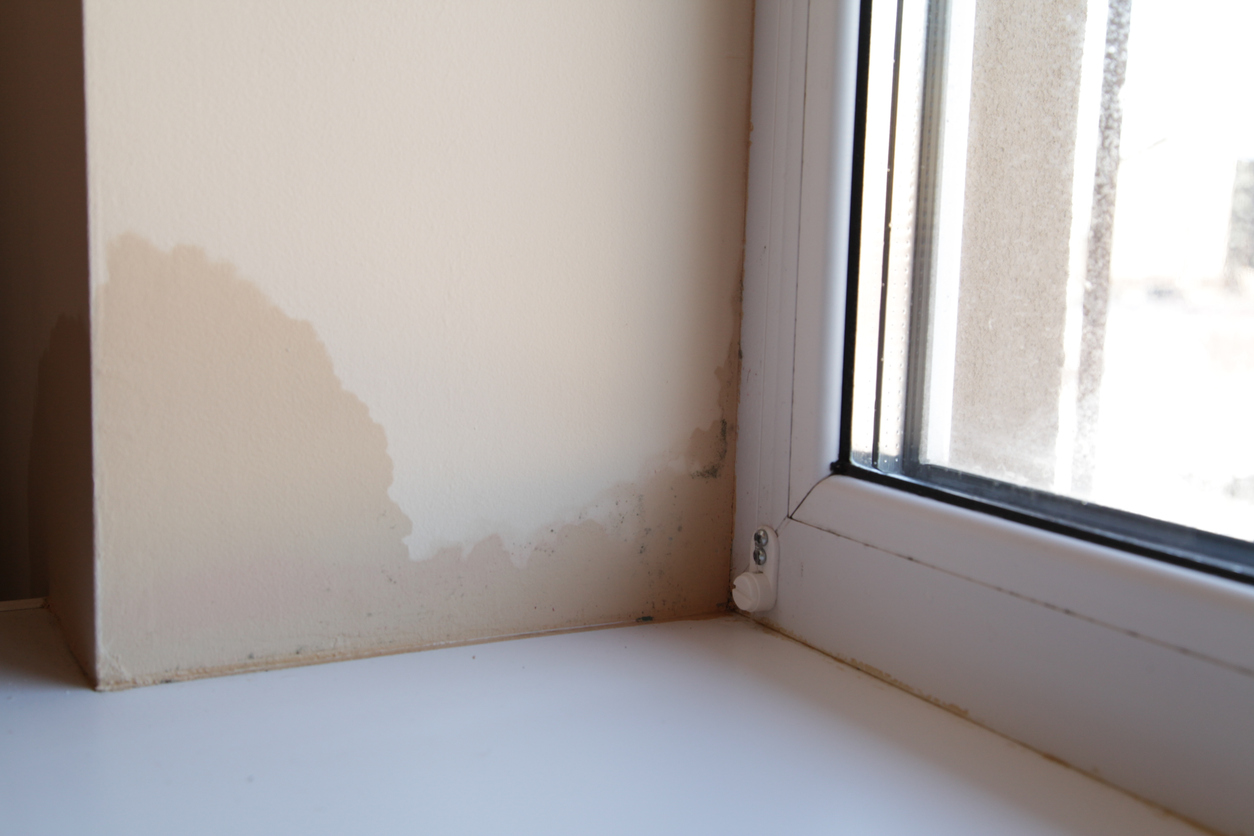 Increased Humidity on Walls and Windows. Growth of Mold on Walls inside an apartment building. Moisture indoors Appearance of mold